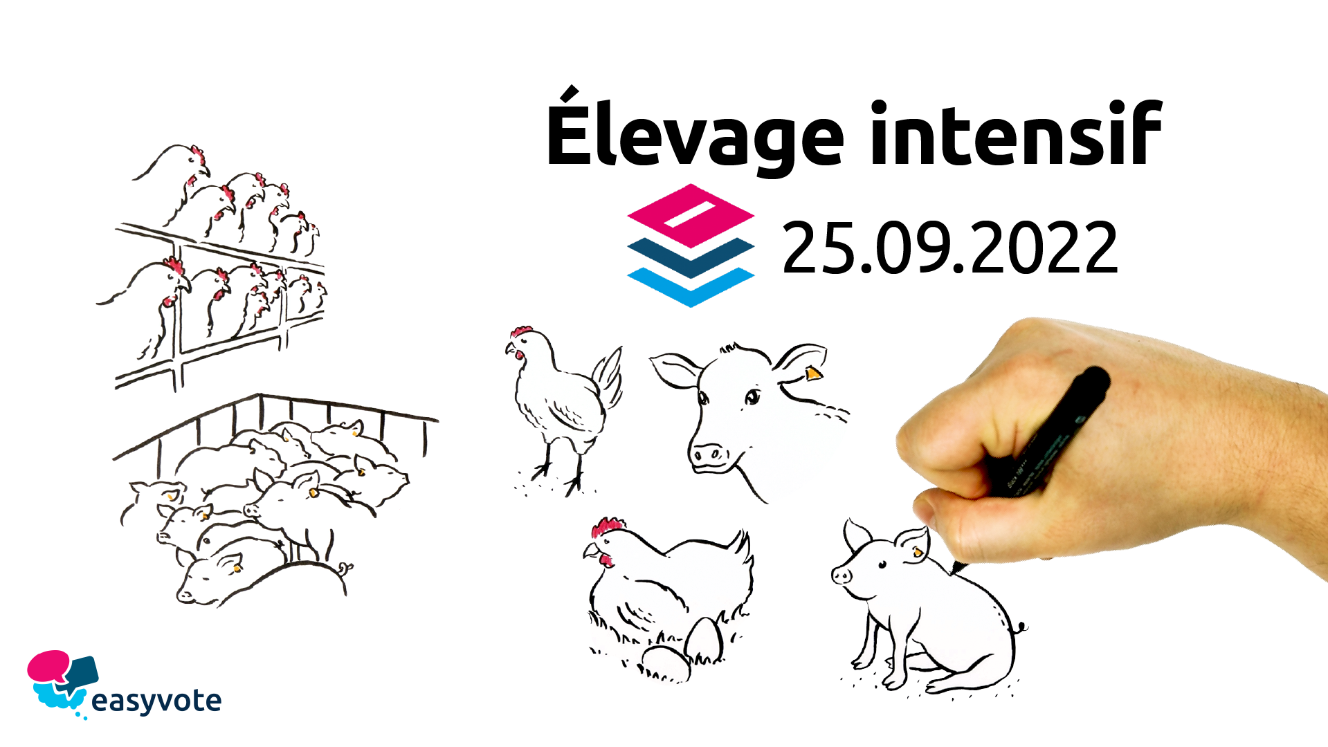 Élevage intensif