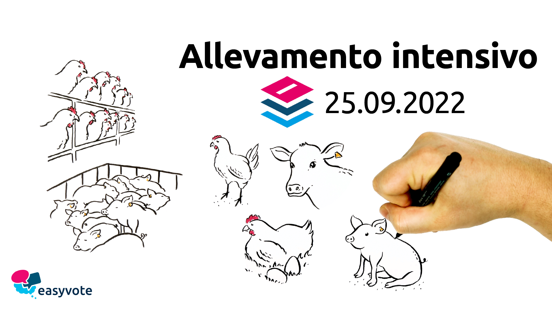 Allevamento intensivo